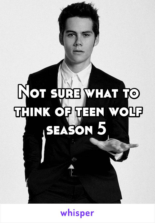 Not sure what to think of teen wolf season 5 