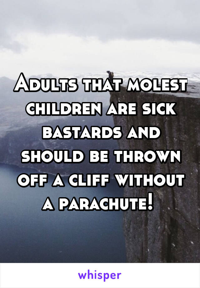 Adults that molest children are sick bastards and should be thrown off a cliff without a parachute! 