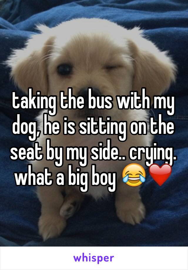 taking the bus with my dog, he is sitting on the seat by my side.. crying. what a big boy 😂❤️
