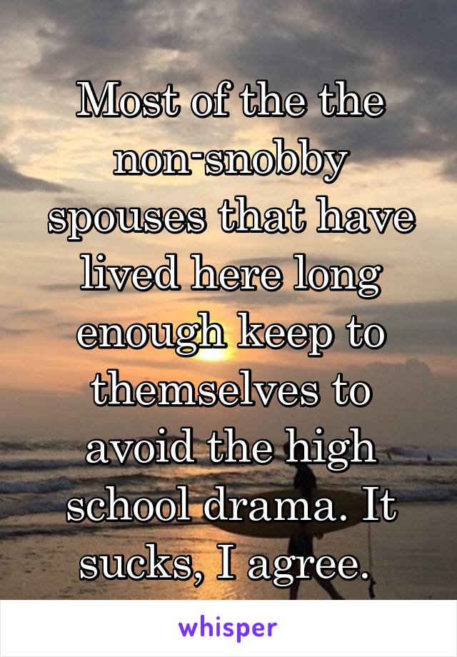 Most of the the non-snobby spouses that have lived here long enough keep to themselves to avoid the high school drama. It sucks, I agree. 