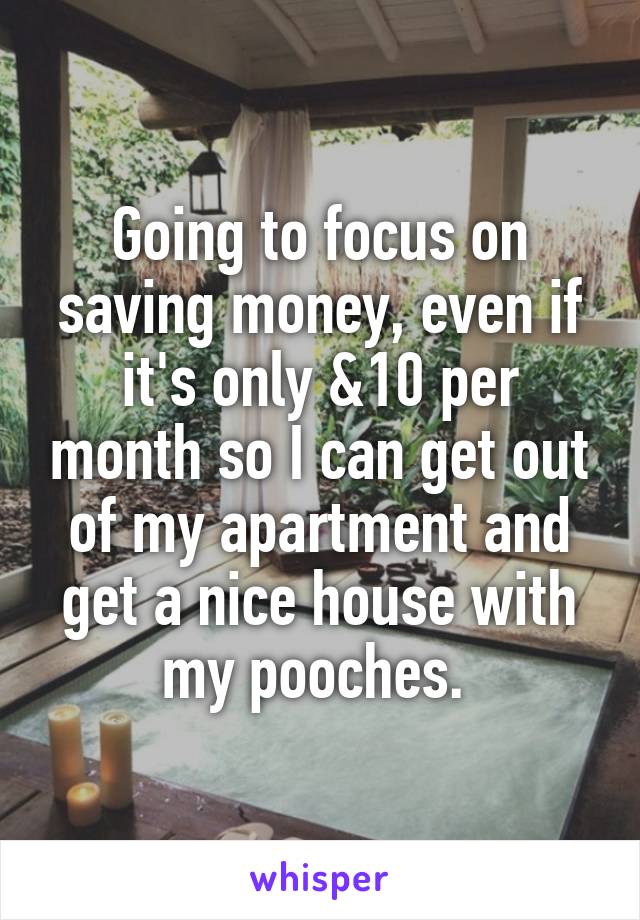 Going to focus on saving money, even if it's only &10 per month so I can get out of my apartment and get a nice house with my pooches. 