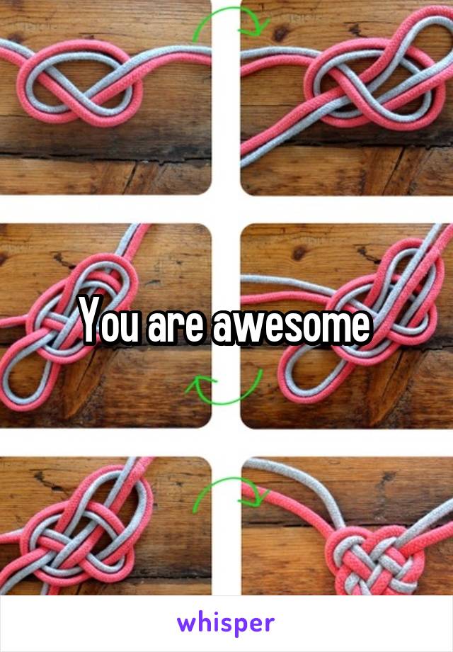 You are awesome 