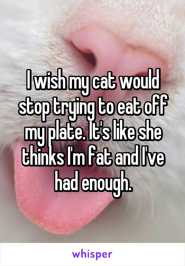 I wish my cat would stop trying to eat off my plate. It's like she thinks I'm fat and I've had enough.
