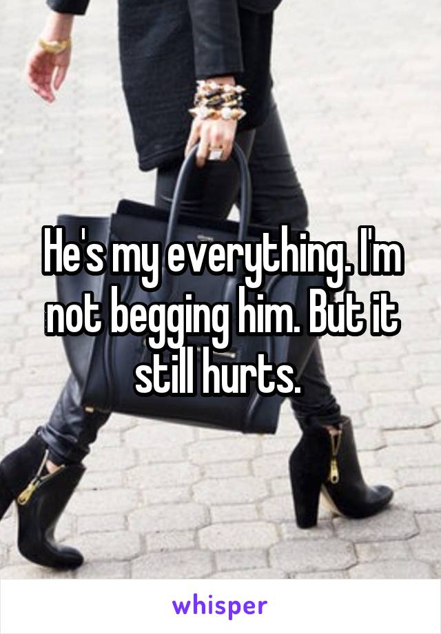 He's my everything. I'm not begging him. But it still hurts. 