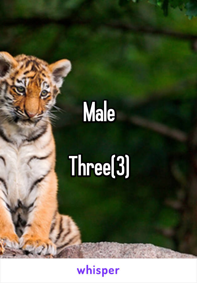 Male

Three(3)