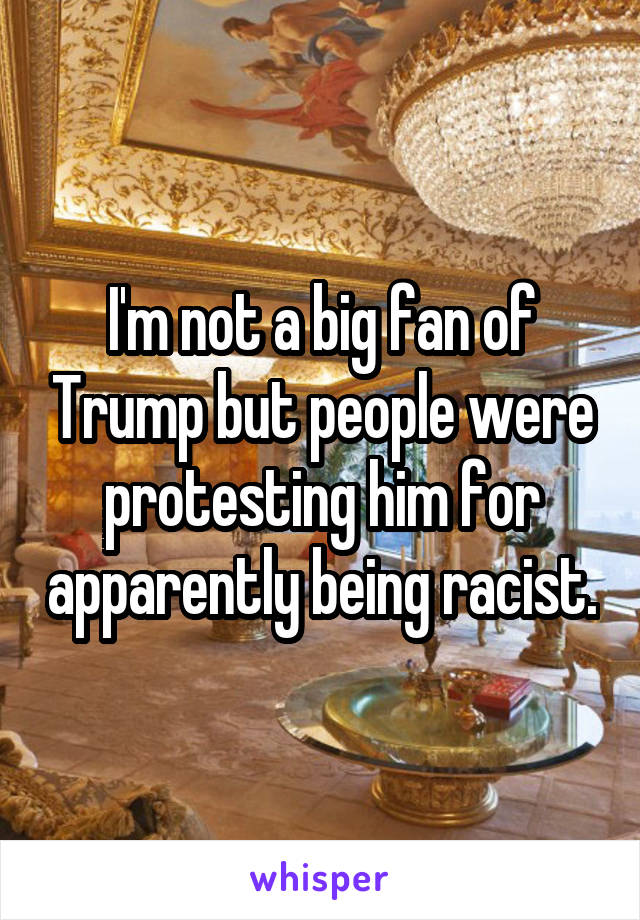 I'm not a big fan of Trump but people were protesting him for apparently being racist.