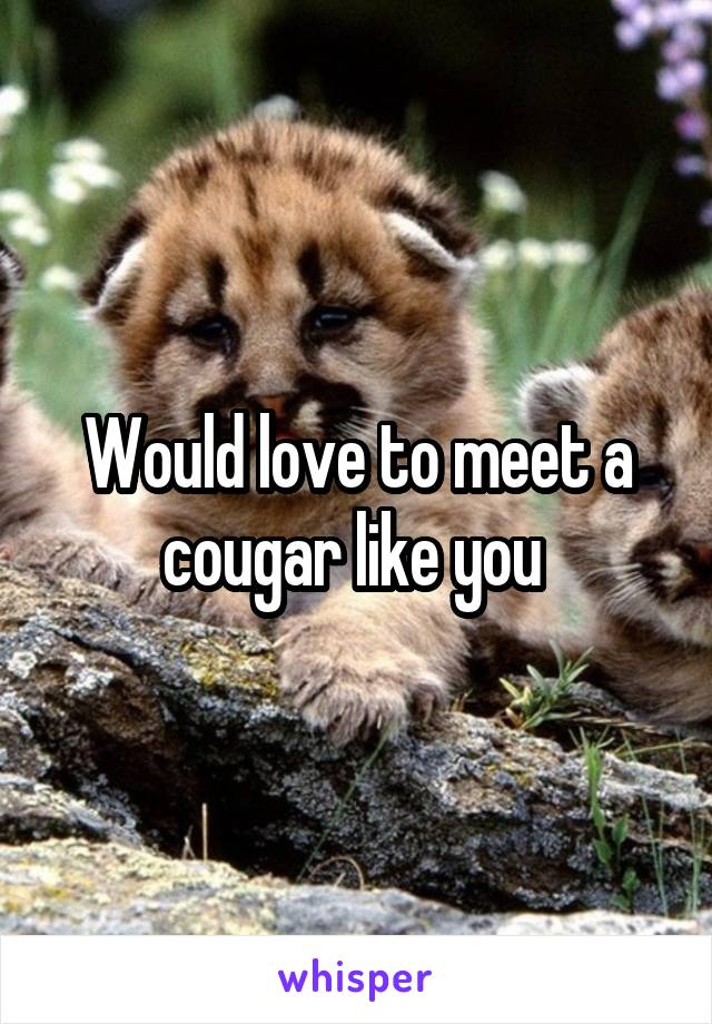 Would love to meet a cougar like you 