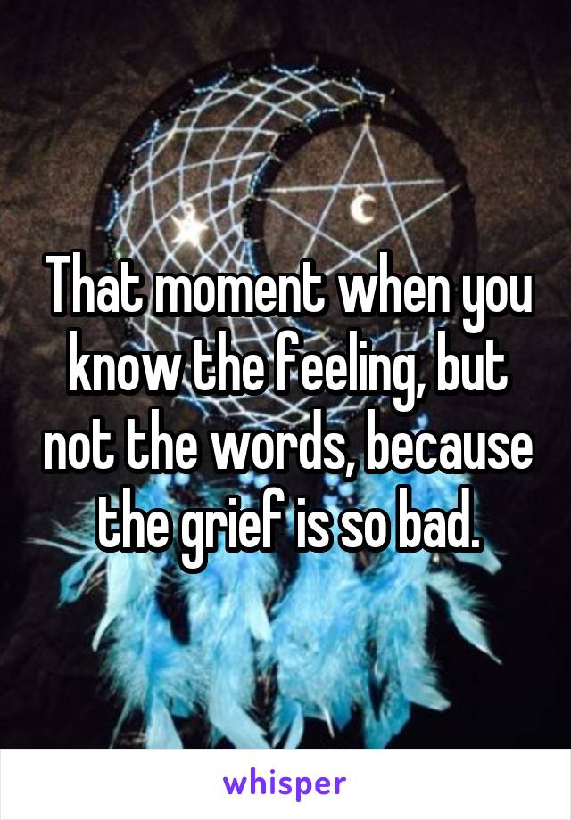 That moment when you know the feeling, but not the words, because the grief is so bad.