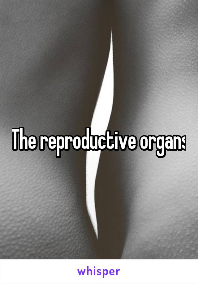 The reproductive organs