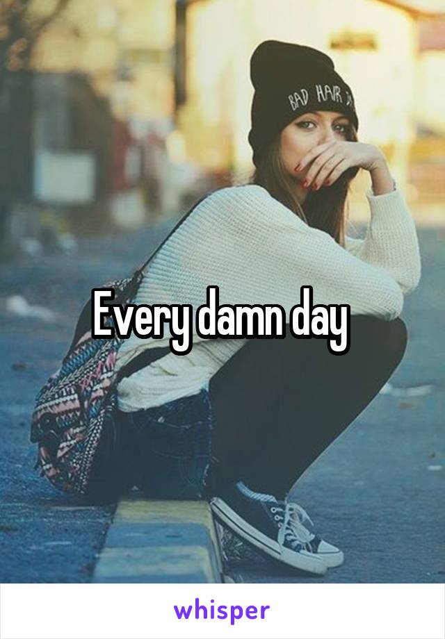 Every damn day 