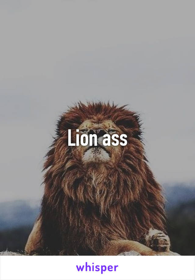 Lion ass