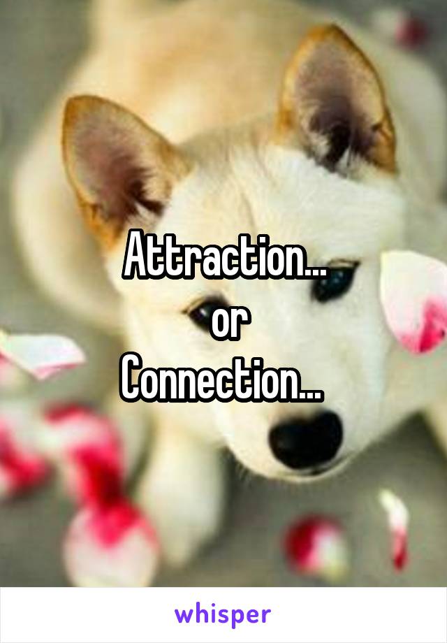 Attraction...
 or
Connection... 