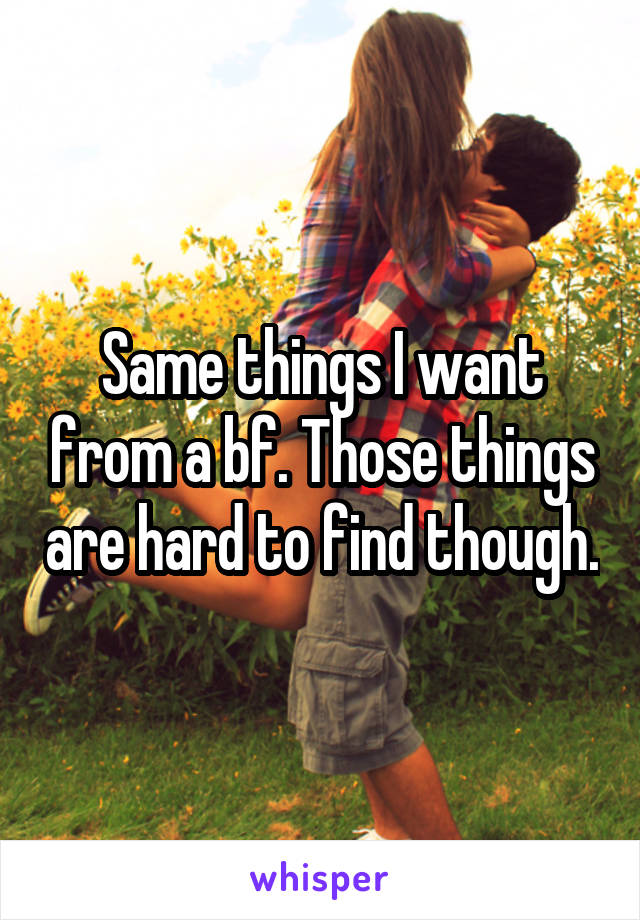 Same things I want from a bf. Those things are hard to find though.