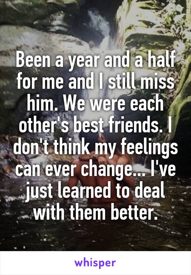 Been a year and a half for me and I still miss him. We were each other's best friends. I don't think my feelings can ever change... I've just learned to deal with them better.