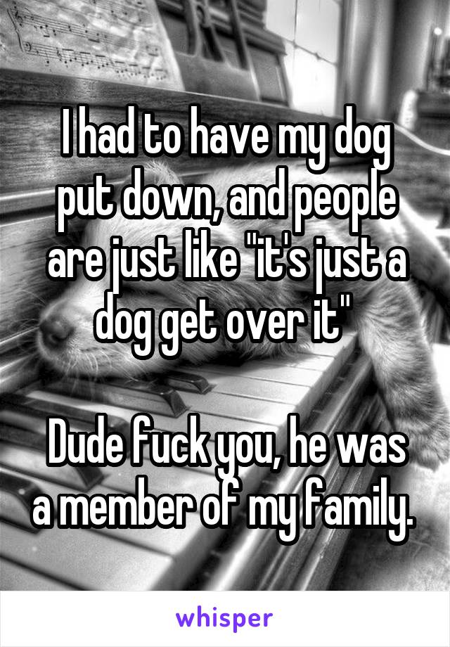 I had to have my dog put down, and people are just like "it's just a dog get over it" 

Dude fuck you, he was a member of my family. 