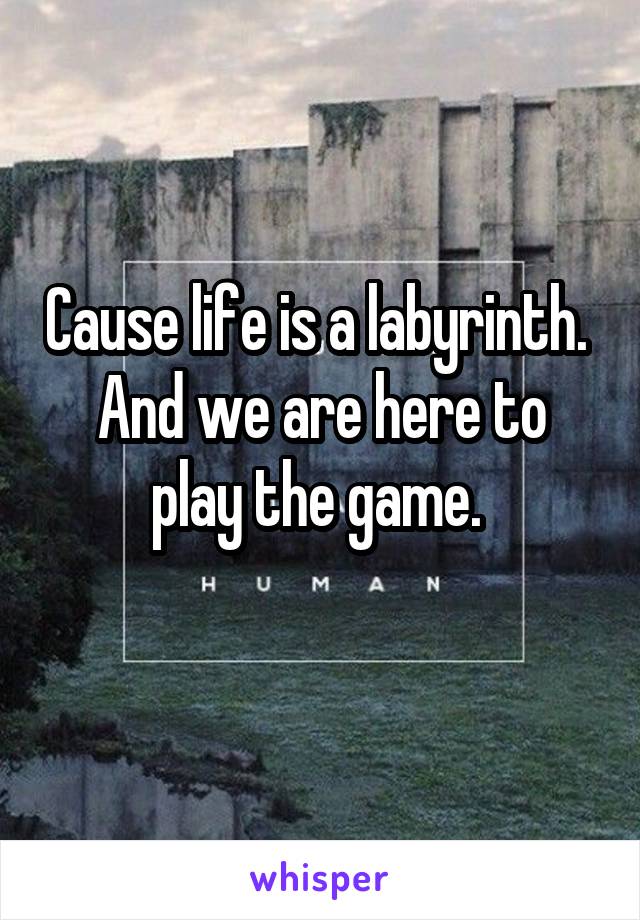 Cause life is a labyrinth. 
And we are here to play the game. 

