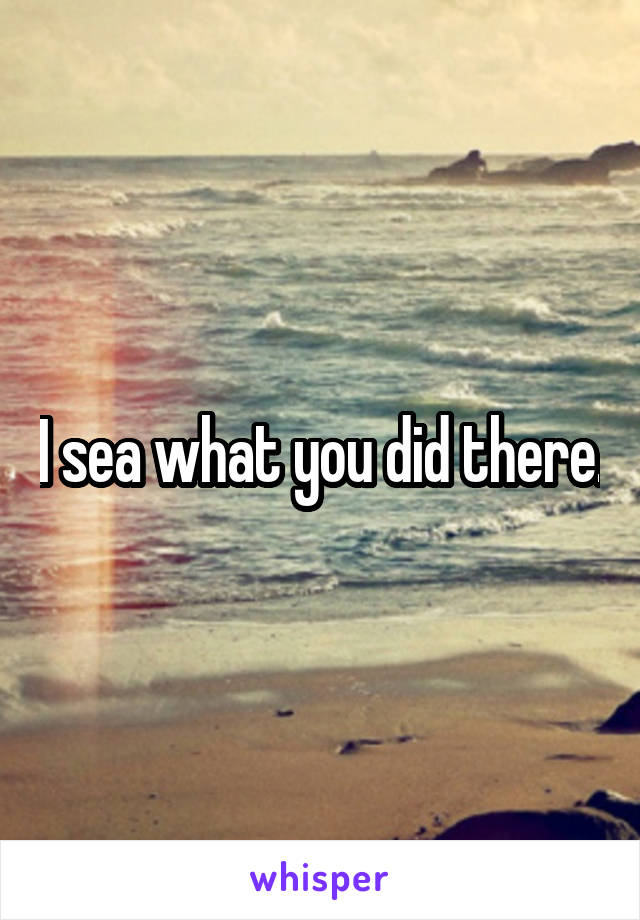 I sea what you did there.