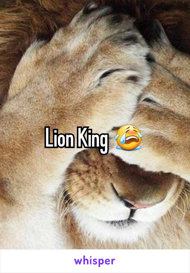 Lion King 😭
