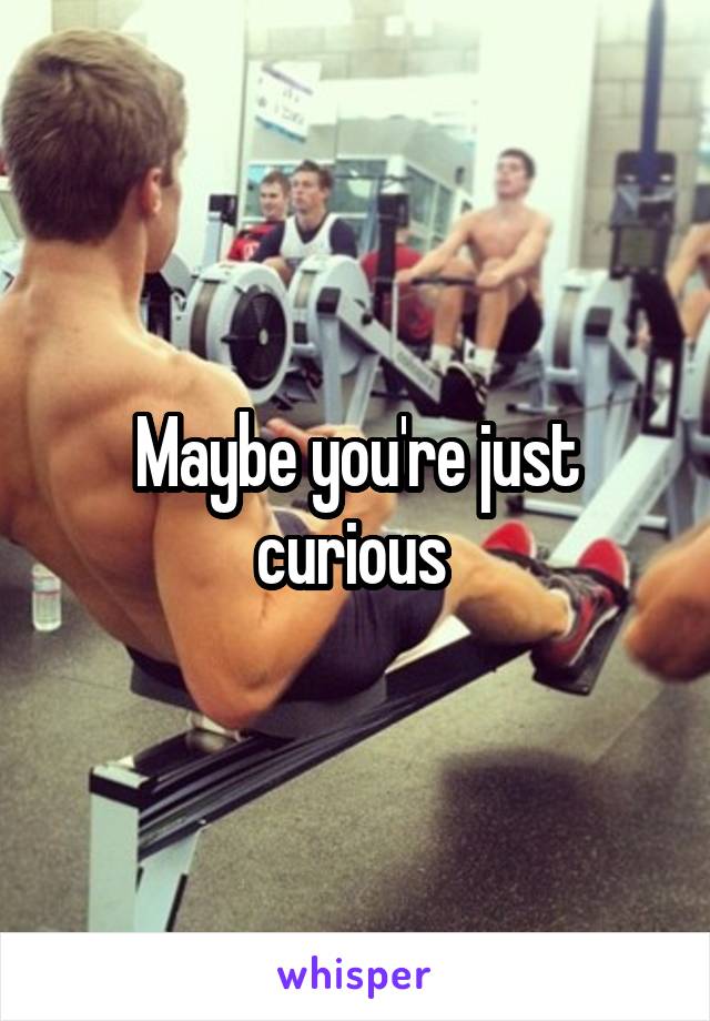 Maybe you're just curious 