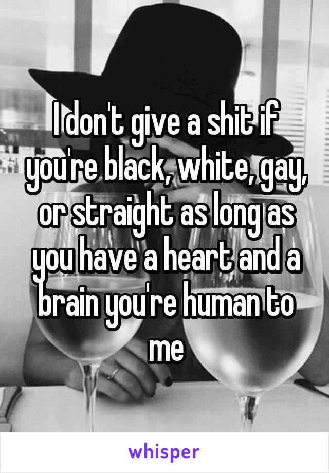 I don't give a shit if you're black, white, gay, or straight as long as you have a heart and a brain you're human to me