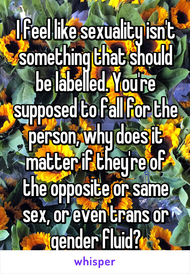 I feel like sexuality isn't something that should be labelled. You're supposed to fall for the person, why does it matter if they're of the opposite or same sex, or even trans or gender fluid?