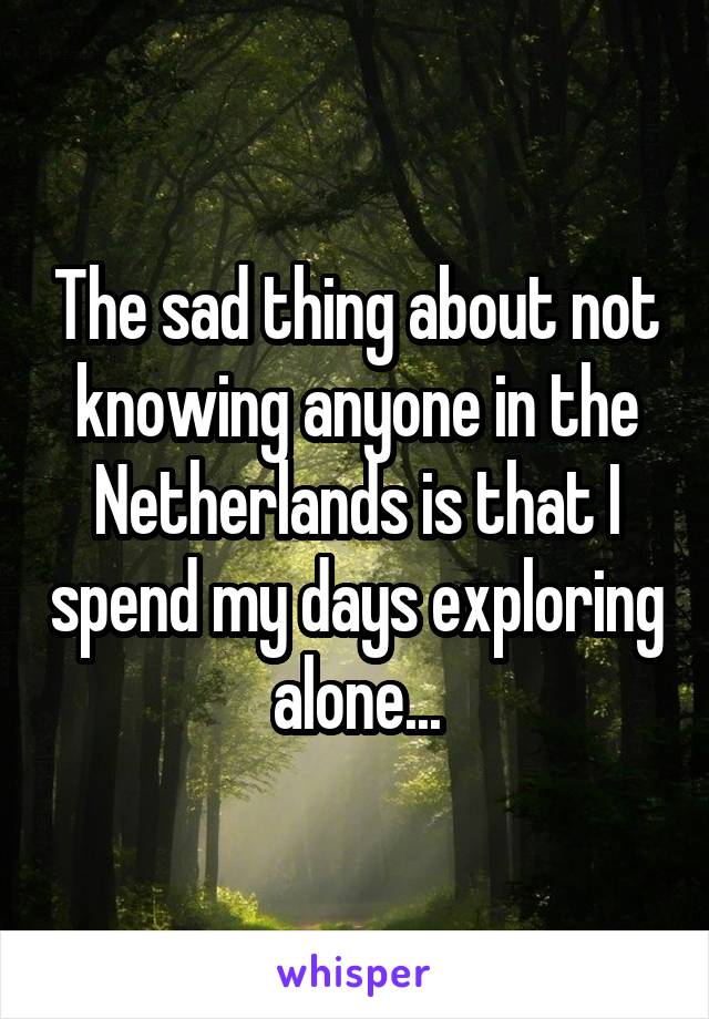 The sad thing about not knowing anyone in the Netherlands is that I spend my days exploring alone...