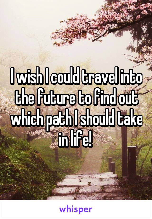 I wish I could travel into the future to find out which path I should take in life! 
