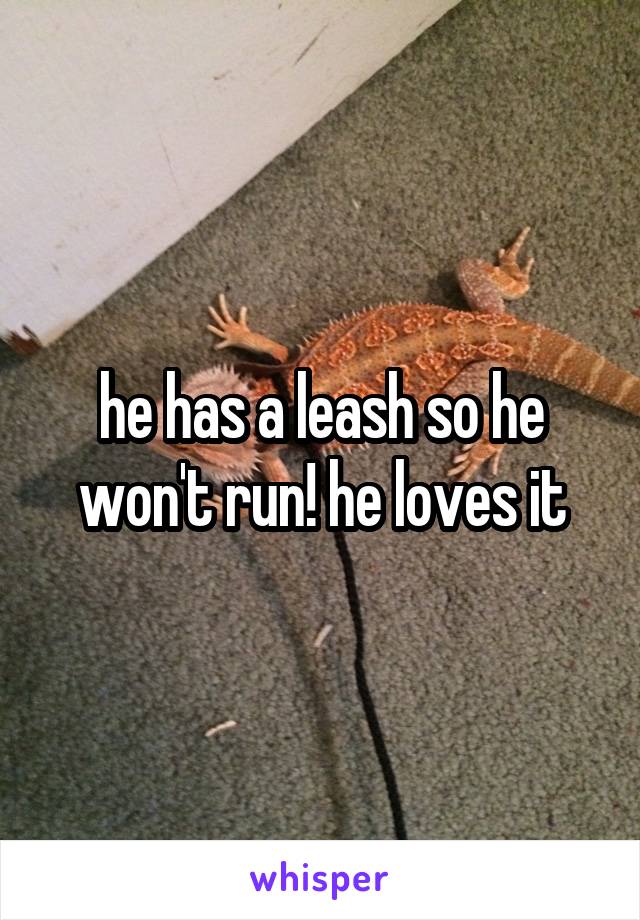 he has a leash so he won't run! he loves it