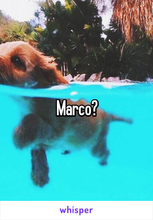 Marco?