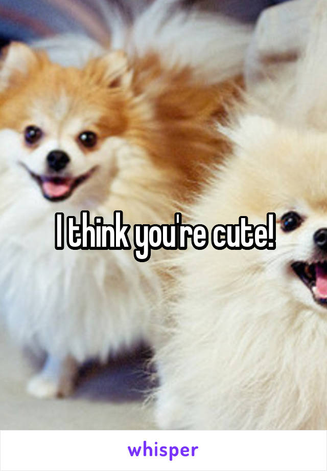 I think you're cute!