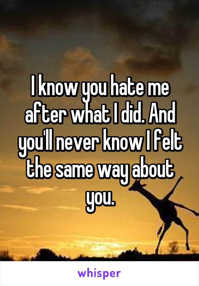 I know you hate me after what I did. And you'll never know I felt the same way about you.