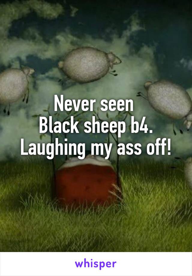 Never seen 
Black sheep b4.
Laughing my ass off!
