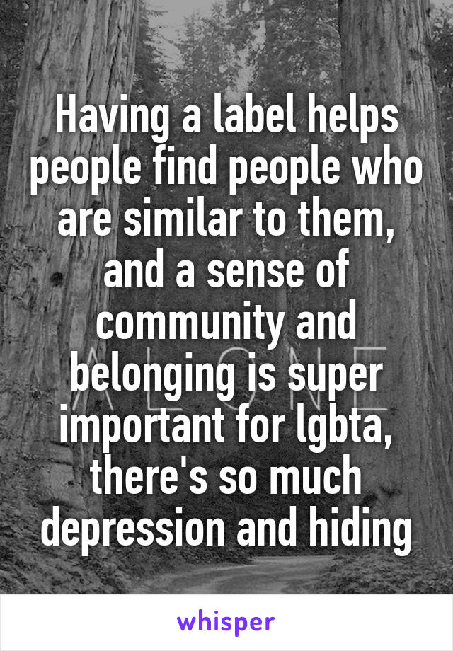 Having a label helps people find people who are similar to them, and a sense of community and belonging is super important for lgbta, there's so much depression and hiding