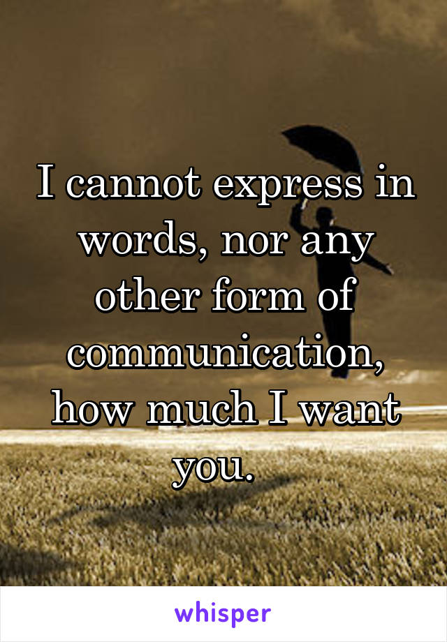 I cannot express in words, nor any other form of communication, how much I want you.  