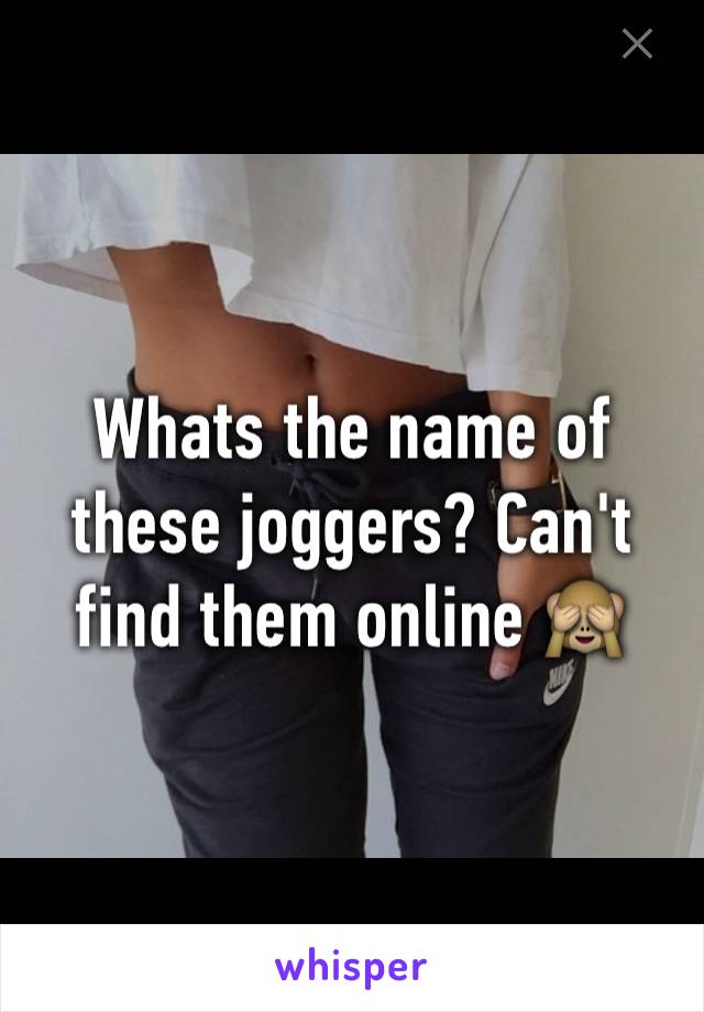 Whats the name of these joggers? Can't find them online 🙈