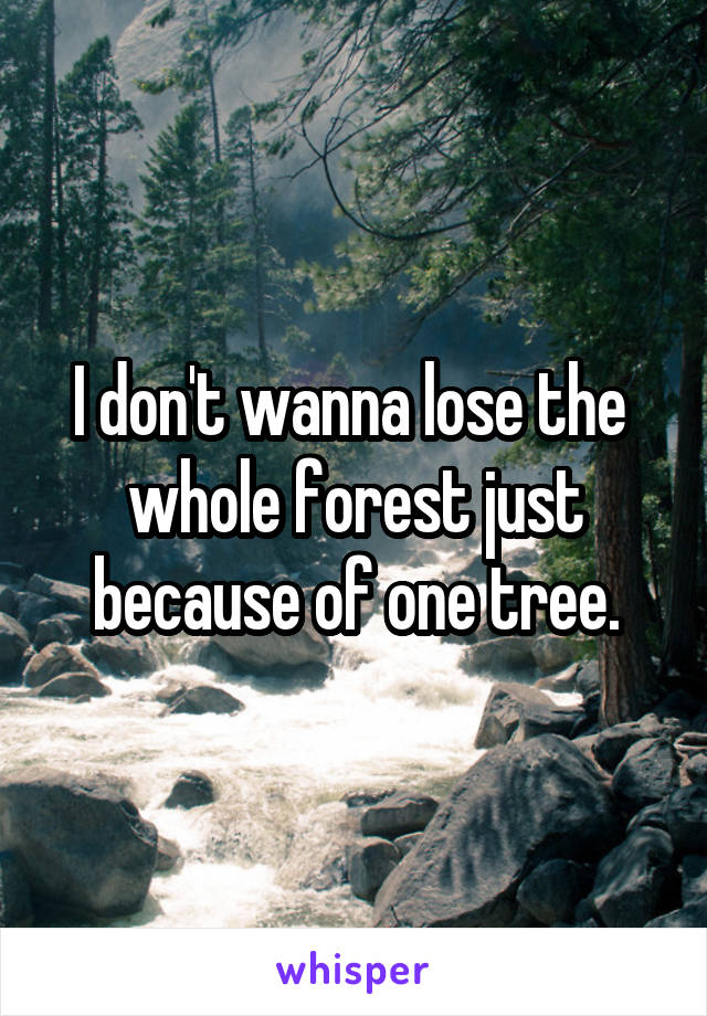 I don't wanna lose the  whole forest just because of one tree.