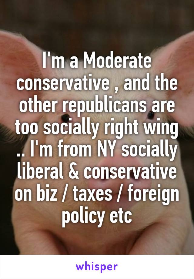 I'm a Moderate conservative , and the other republicans are too socially right wing .. I'm from NY socially liberal & conservative on biz / taxes / foreign policy etc
