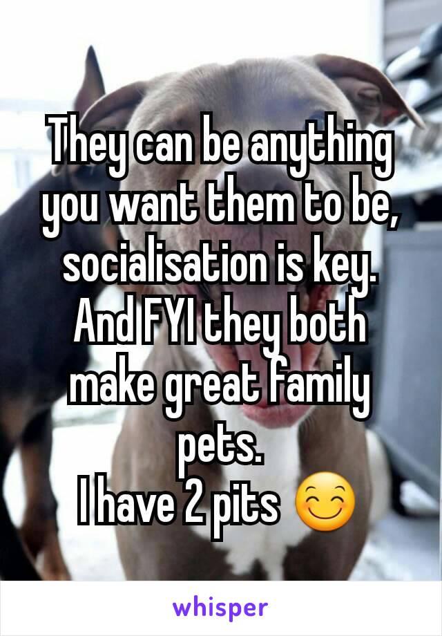 They can be anything you want them to be, socialisation is key.
And FYI they both make great family pets.
I have 2 pits 😊