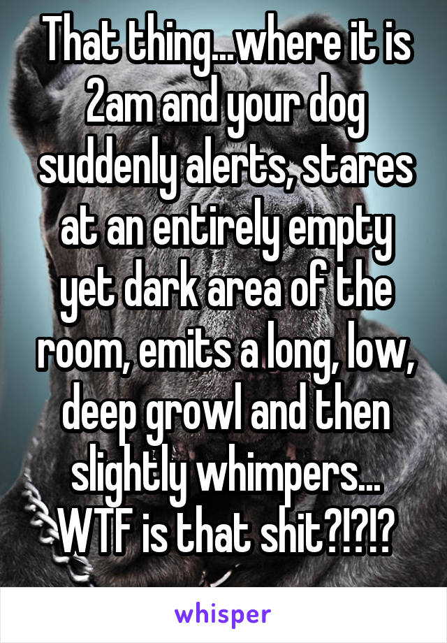 That thing...where it is 2am and your dog suddenly alerts, stares at an entirely empty yet dark area of the room, emits a long, low, deep growl and then slightly whimpers...
WTF is that shit?!?!?
