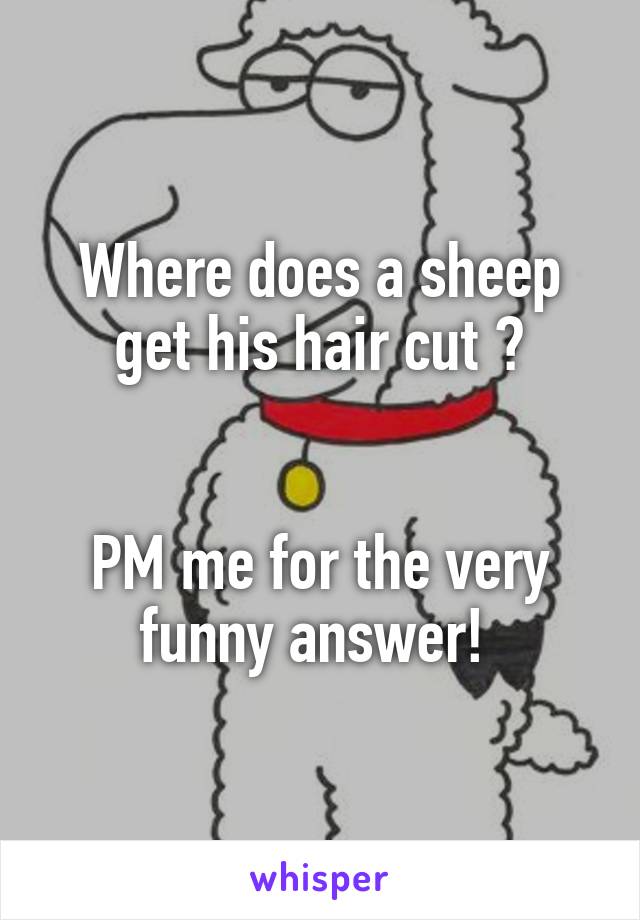 Where does a sheep get his hair cut ?


PM me for the very funny answer! 