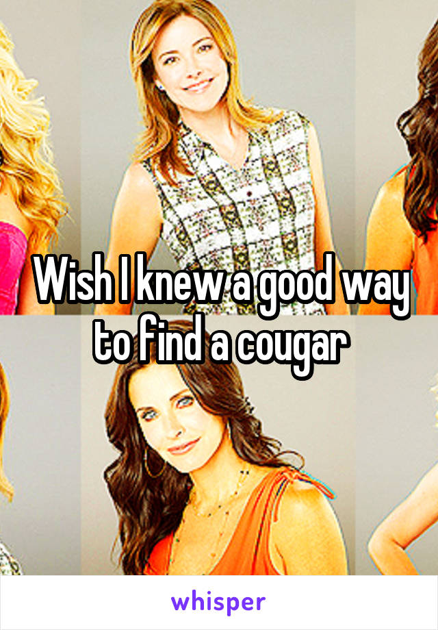 Wish I knew a good way to find a cougar