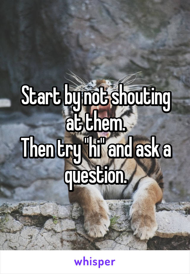 Start by not shouting at them.
Then try "hi" and ask a question.