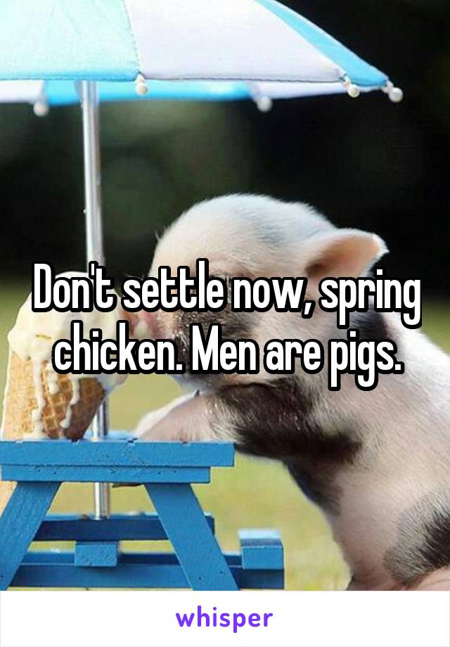 Don't settle now, spring chicken. Men are pigs.