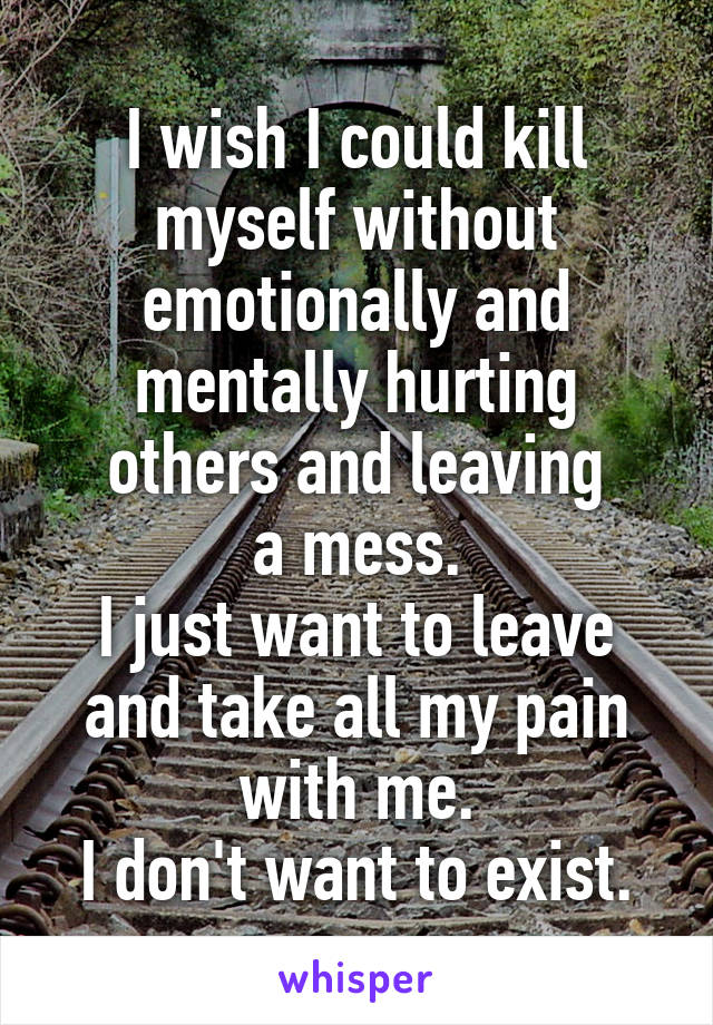 I wish I could kill myself without emotionally and mentally hurting others and leaving
a mess.
I just want to leave and take all my pain with me.
I don't want to exist.