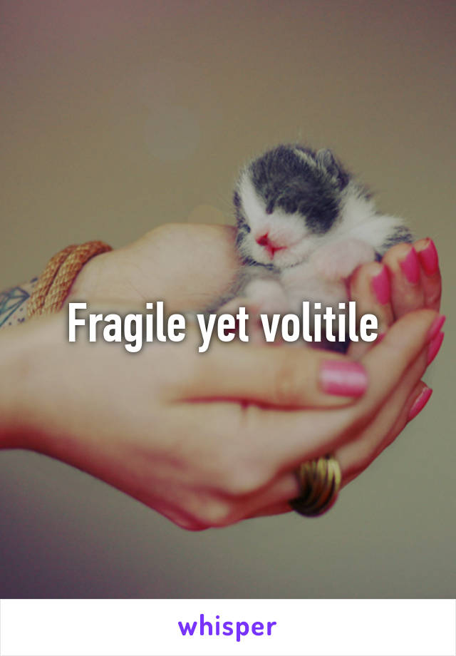 Fragile yet volitile 