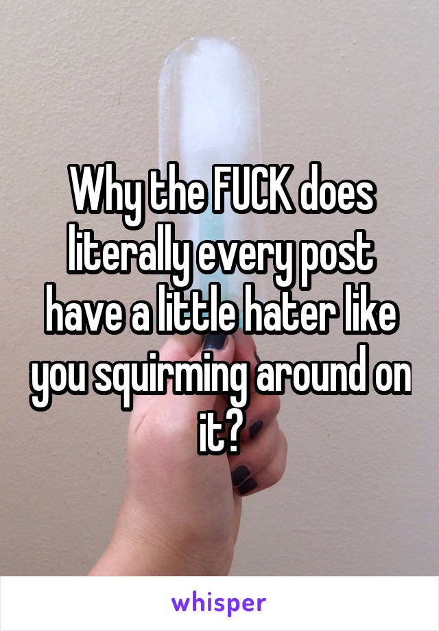 Why the FUCK does literally every post have a little hater like you squirming around on it?