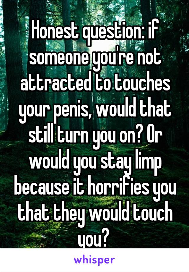 Honest question: if someone you're not attracted to touches your penis, would that still turn you on? Or would you stay limp because it horrifies you that they would touch you? 