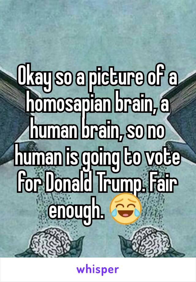 Okay so a picture of a homosapian brain, a human brain, so no human is going to vote for Donald Trump. Fair enough. 😂 