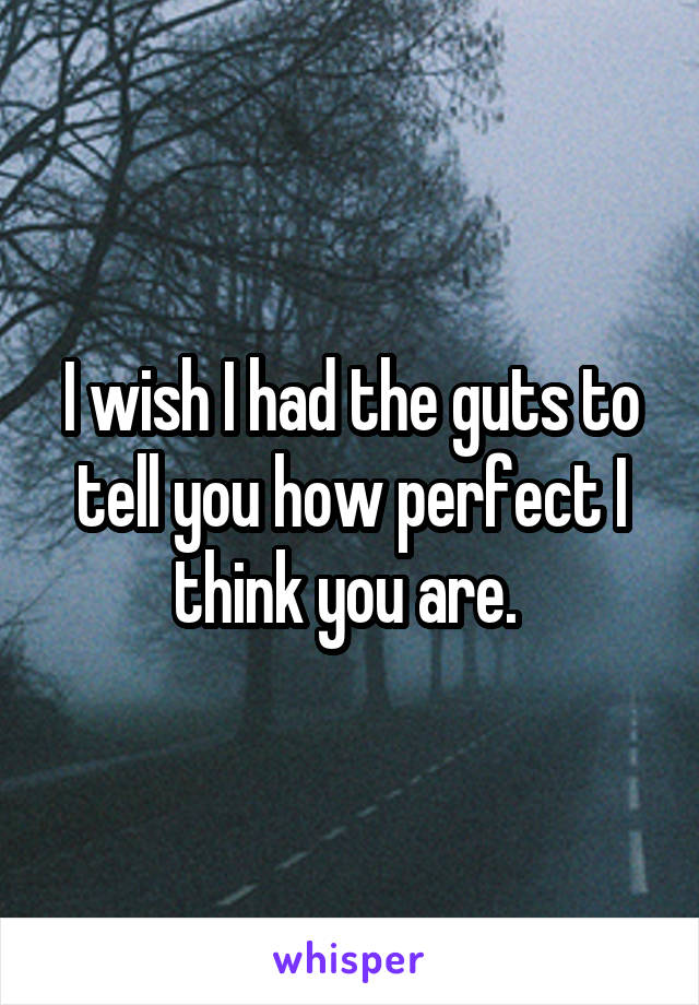 I wish I had the guts to tell you how perfect I think you are. 
