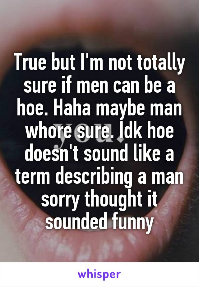 True but I'm not totally sure if men can be a hoe. Haha maybe man whore sure. Idk hoe doesn't sound like a term describing a man sorry thought it sounded funny